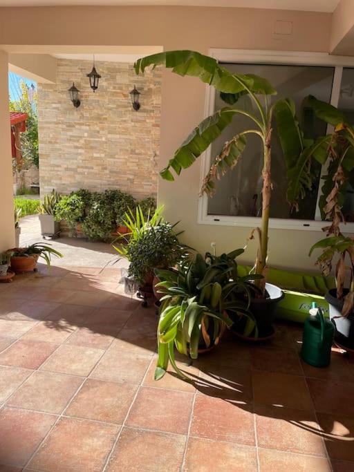 Sea View Studio Kirra Dış mekan fotoğraf